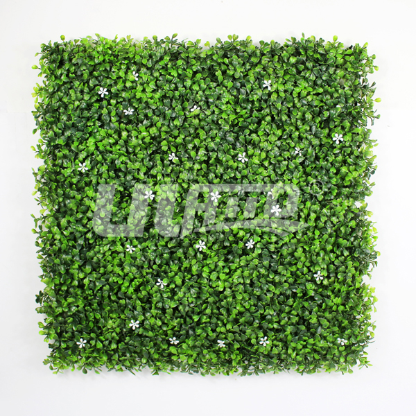 ֲ
