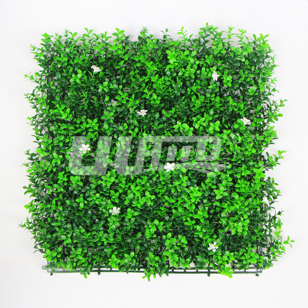 ֲ