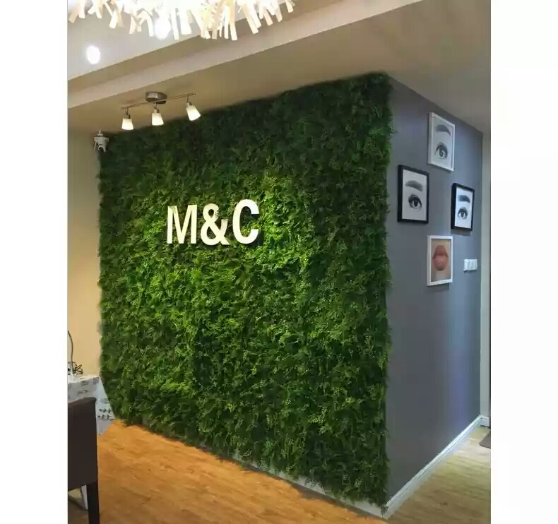 ֲǽ̰_MCǰ̨