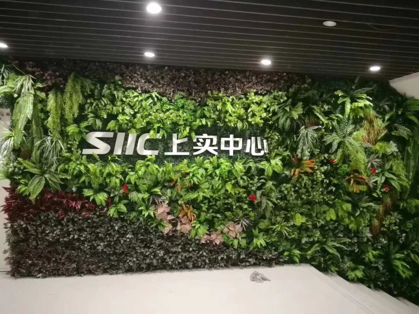 ֲǽ̰_ʵ