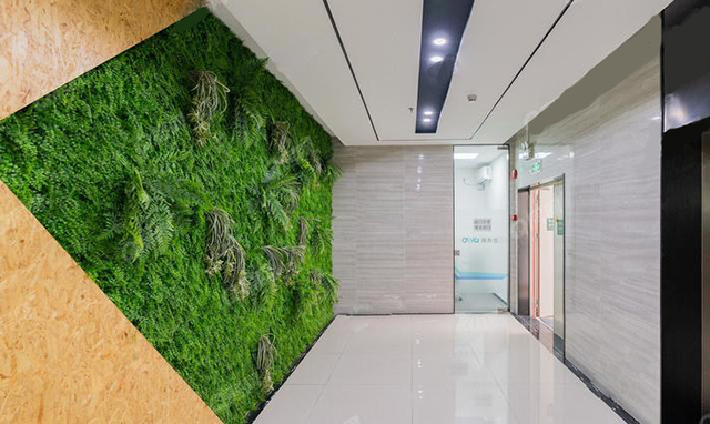 写字楼电梯间仿真植物墙装饰