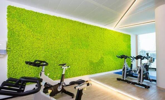 健身房墙面创意装饰之永生苔藓植物墙