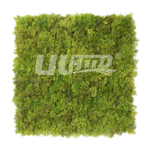 Ƭ״ֲA123