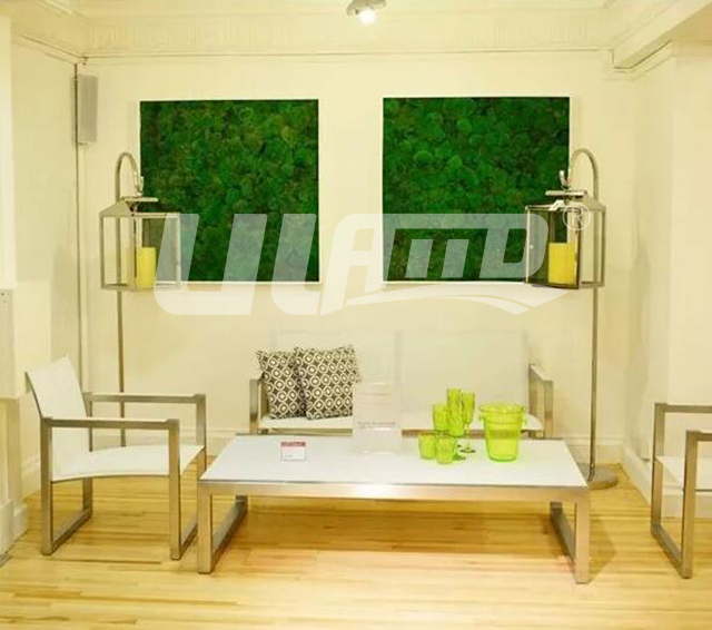 壁挂相框永生苔藓装饰的客厅