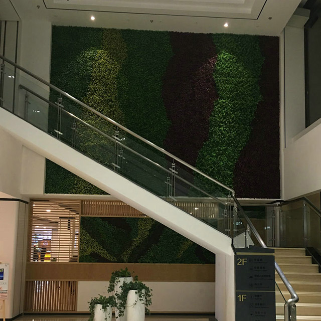 塑料做的装饰植物墙