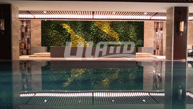 泰州维景国际大酒店室内游泳池仿真植物墙绿化装饰