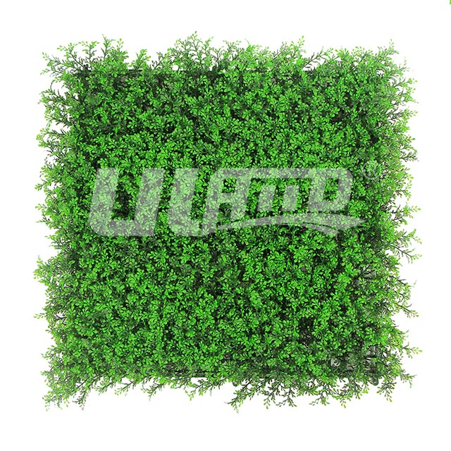 澰ֲ